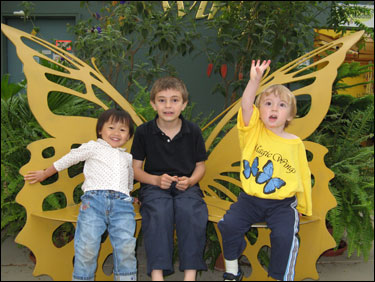 Magic Wings butterfly conservatory is one of the many family-friendly attractions neat the Birdsong B&B of Amherst